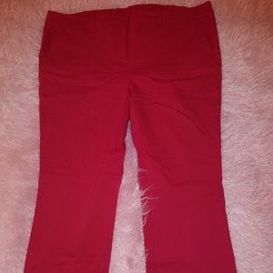 Lane Bryant Sophie Bootcut Red pants 24 plus